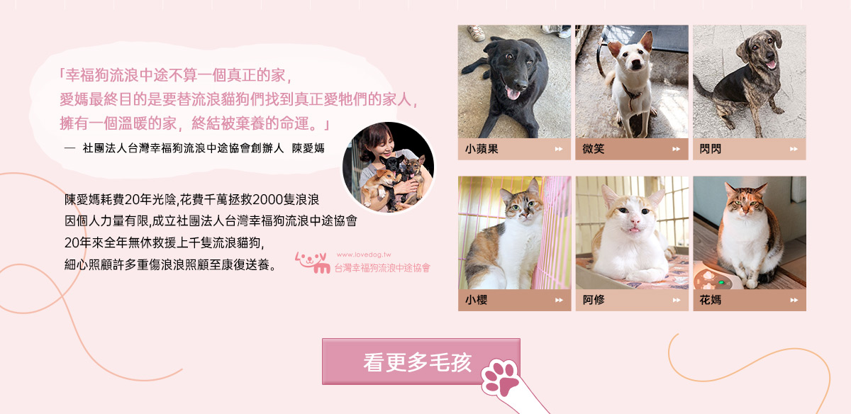「浪屋計畫」x 愛心大使美美
